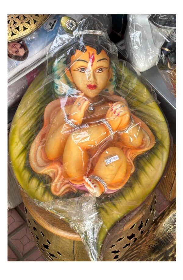 Shri Krishna Bal Gopal Roop